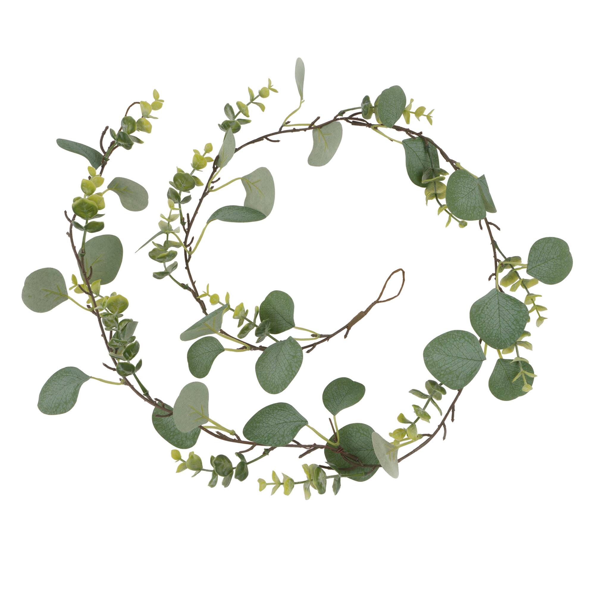 8 Pack: 5ft. Eucalyptus Mix Coiled Garland by Ashland®